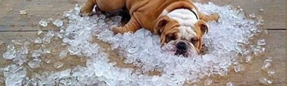 Pickleball Fix Pickleball Fix